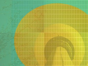 工具实战教程：手把手教你操作